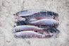 MU10 - Mullet Whole 600 ~ 800 Grams Markwell 10kg Ctn